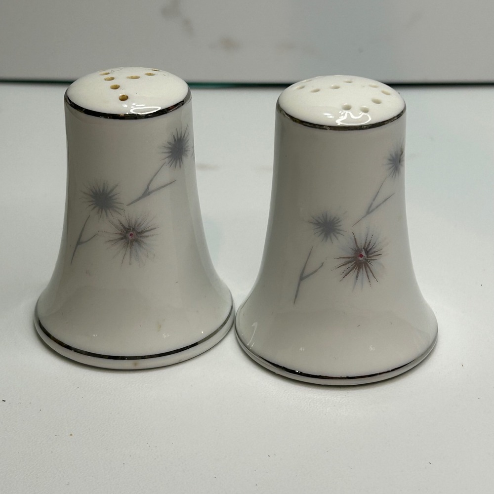 Vintage Japan Ceramic Salt and Pepper Shakers Floral Starburst Silver Trim SP81‎
